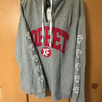 10-FEET RUDIES 후드티 그레이 XL