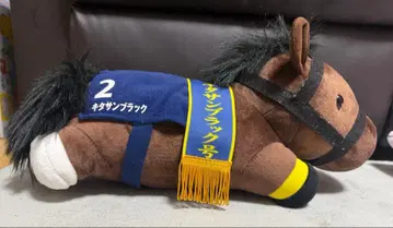 봉제 인형 키타산 블랙