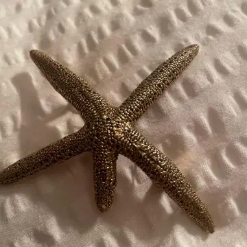 실버 별 모양 헤어 액세서리