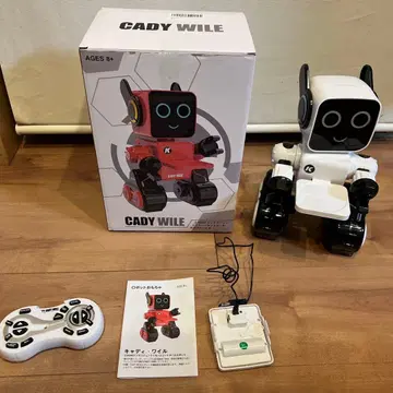 Cady Wile 로봇 완구
