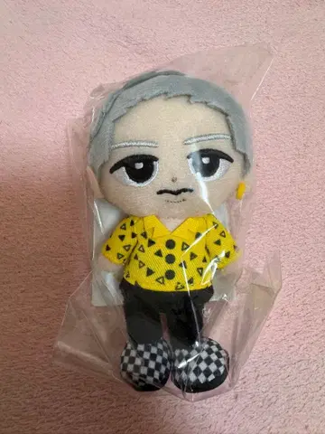 스노치루 이와모토 테루