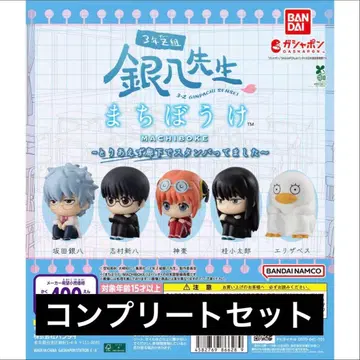 [ 5종 컴프 ] 3년 Z반 긴파치 선생님 기다림 2