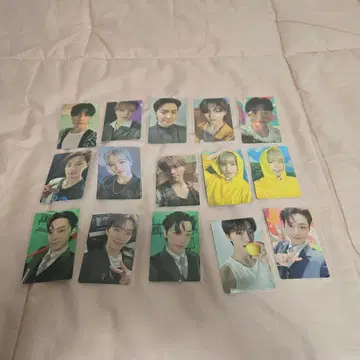 seventeen 디노 트레이딩 카드