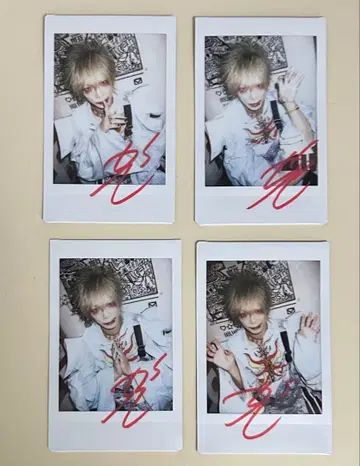 나방과 나비 단풍 폴라로이드