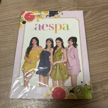 aespa 에스파 팬클럽 세트