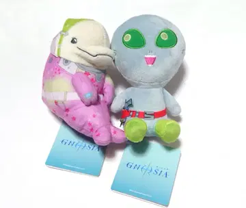 GNOSIA 그노시아 세트 묶음 판매