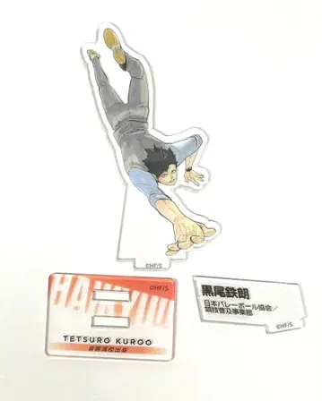 하이큐 네코마 쿠로오 테츠로