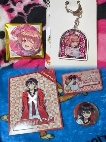 컬러풀 피치 유안군 노아