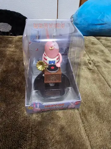 우사비치 흔들흔들 솔라 DJ 시간