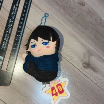 48 포에이트 봉제 인형 클립 오토하 마스코트 택 포함 미사용품