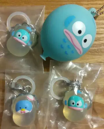 4개 한교동 턱시도샘 메지루시 굴 오이스터