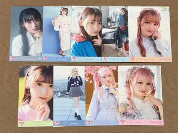 이코라부 사이토 쥬아라 생사진 묶음 판매