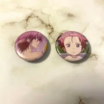 미남 고등학교 지구 방위부 자오 리츠 미니 캔뱃지 세트