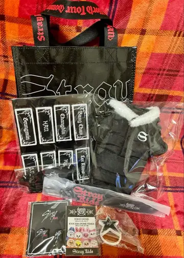 straykids 스키즈 dominATE 업그레이드 굿즈 복권