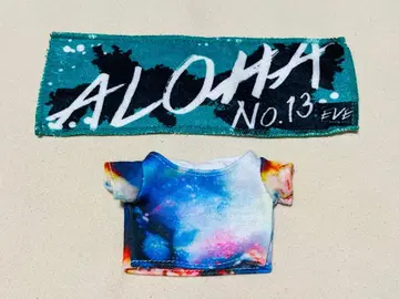 초특급 Aloha EVE 봉제 인형 의류