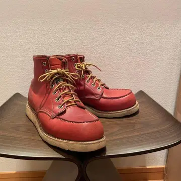 레드윙 인기 홍차 단종 개 택 7하프 8875 아이리쉬 세터