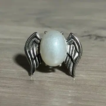 가정교사 히트맨 REBORN! 봉고레 반지 육조화 백란 마레 반지 2