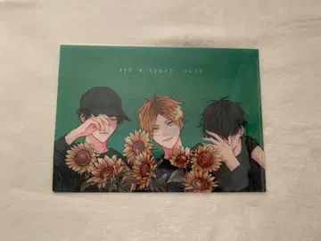 기븐 타워 레코드 클리어 파일