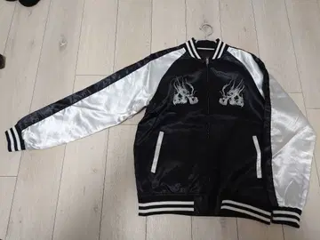 일심화경 스카잔 은룡 XL 사이즈