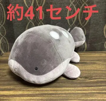 포켓몬스터 메챠모후굿토 봉제 인형 두오 포켓몬 봉제 인형