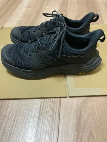 HOKA ONE ONE M ANACAPA 2 LOW GTX 26cm