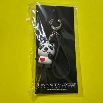 this is not a concert jun.k Pan.K 키링