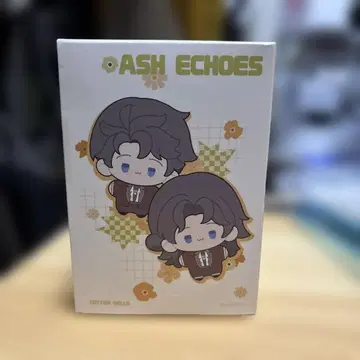 아쉬 에코 대륙판 기념 세트 남성 디렉터