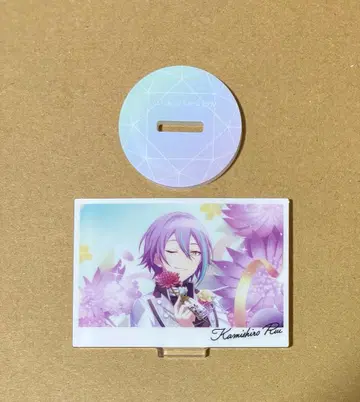 프로세카 카미시로 루이 아크릴 스탠드 벌스데이