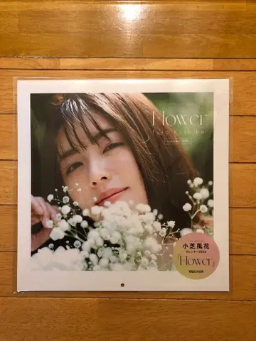 코시바 후우카 2026 달력 미개봉 새상품