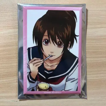 애니플렉스 대추첨회 은혼 긴파치선생 오타에 D상 캔뱃지