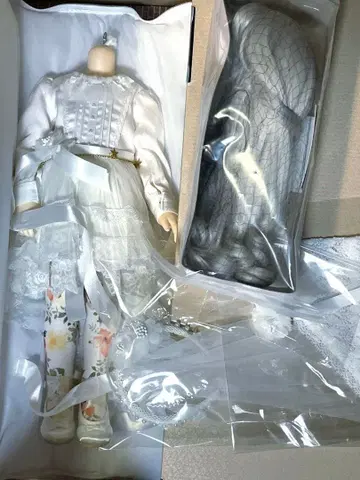 보크스 DearSD 바디, 디폴트 일식