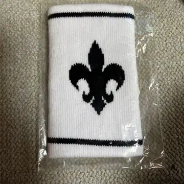 드래곤 애쉬 백합 문장 리스트 밴드 드래곤 애쉬 화이트