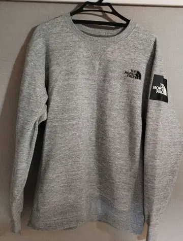 THE NORTH FACE 그레이 맨투맨