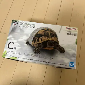 파충류 제일복권 C상 헤르만 육지거북 방안 산책ver. 피규어