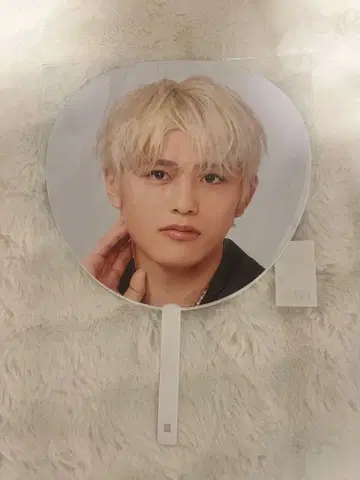 시노즈카 다이키 timelesz 부채