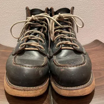 레드윙 8130 아이리쉬 세터 7하프