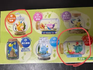 피크민 테라리움 컬렉션 2 믿음직한 파트너 단도리 배틀 2종 세트