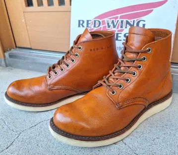 레드윙 9871 골드러셋 9.5D