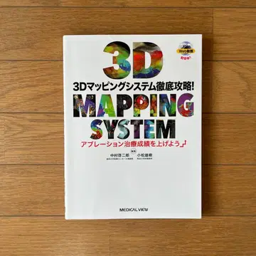 3D MAPPING SYSTEM