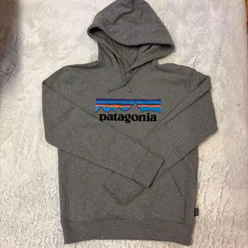 patagonia 그레이 XS 후드티