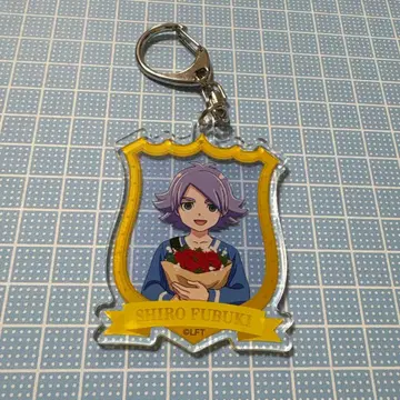 이나즈마 일레븐 후부키 시로