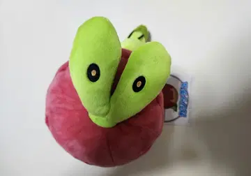 포켓몬 센터 한정판 카지치 봉제 인형