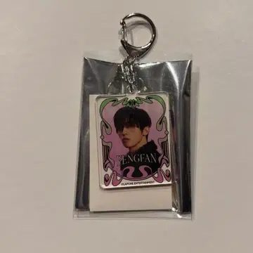 익명 배송 INI POPUP 허풍범 아크릴 키링