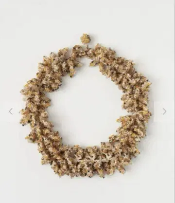 정가 71500엔 아프로지오앤코 [ 프린지 목걸이 ] 2023