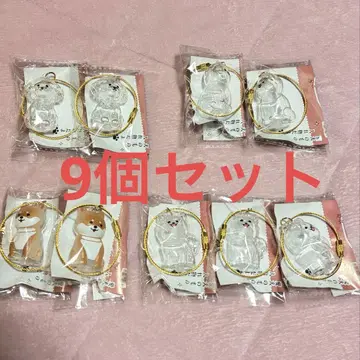 강아지 타임 캡슐 9개 세트