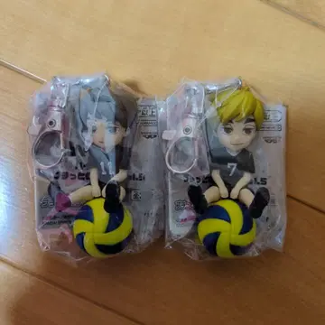 하이큐!! 푸칫토노리마스 Vol.5 미야 아츠무 미야 오사무