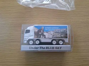 하마다 쇼고 투어 트랙 미니카