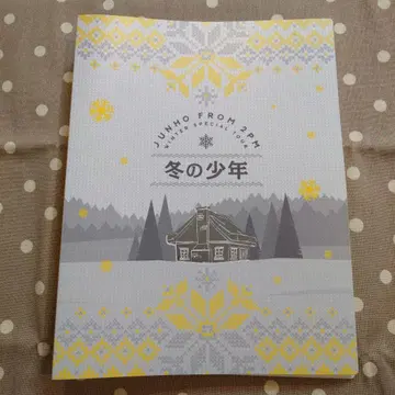 준호 JUNHO 2PM 겨울 소년 트레이딩 카드 케이스