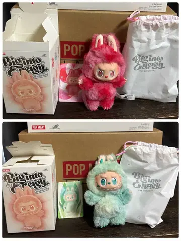 에너지 러브 그린 SERENITY 레드 LOVE