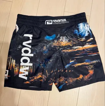 reversal 풍경 프린트 숏팬츠 M 사이즈